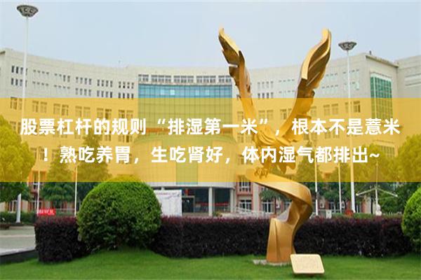 股票杠杆的规则 “排湿第一米”，根本不是薏米！熟吃养胃，生吃肾好，体内湿气都排出~