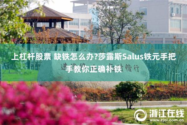 上杠杆股票 缺铁怎么办?莎露斯Salus铁元手把手教你正确补铁