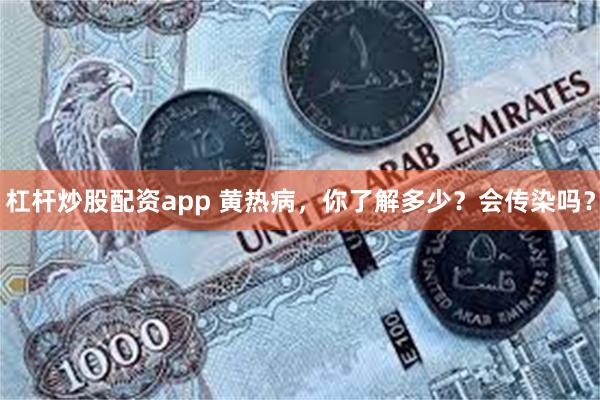 杠杆炒股配资app 黄热病，你了解多少？会传染吗？