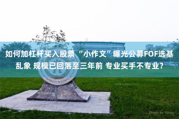如何加杠杆买入股票 “小作文”曝光公募FOF选基乱象 规模已回落至三年前 专业买手不专业？