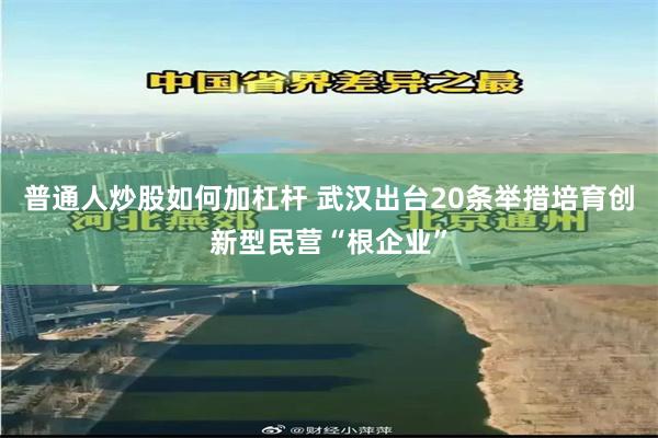 普通人炒股如何加杠杆 武汉出台20条举措培育创新型民营“根企业”