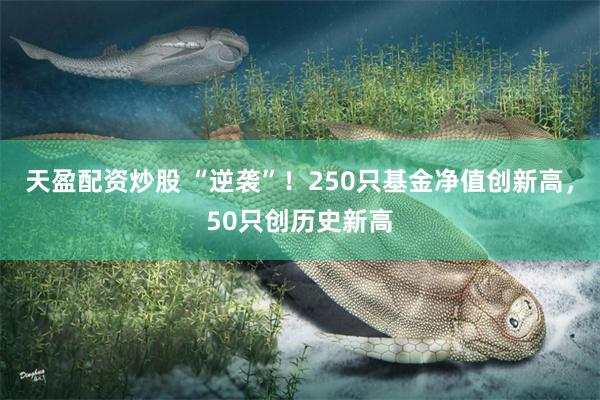 天盈配资炒股 “逆袭”！250只基金净值创新高，50只创历史新高