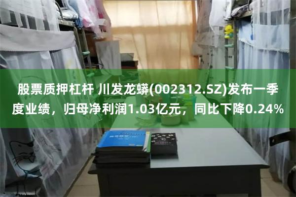 股票质押杠杆 川发龙蟒(002312.SZ)发布一季度业绩，归母净利润1.03亿元，同比下降0.24%