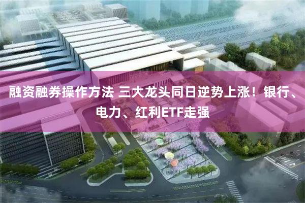 融资融券操作方法 三大龙头同日逆势上涨！银行、电力、红利ETF走强