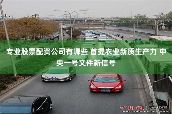 专业股票配资公司有哪些 首提农业新质生产力 中央一号文件新信号