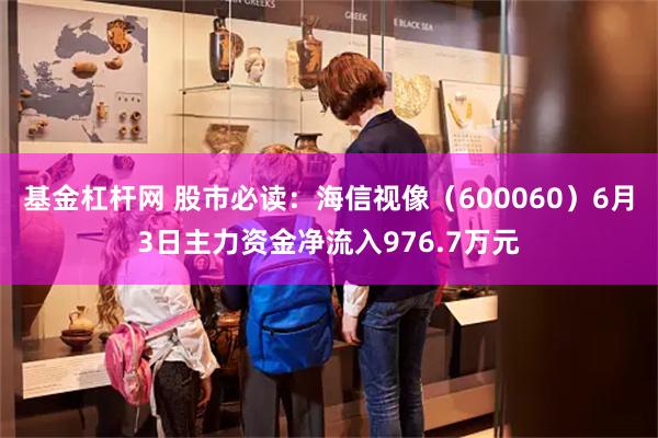 基金杠杆网 股市必读：海信视像（600060）6月3日主力资金净流入976.7万元