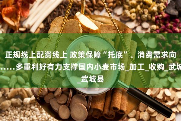 正规线上配资线上 政策保障“托底”、消费需求向好……多重利好有力支撑国内小麦市场_加工_收购_武城县