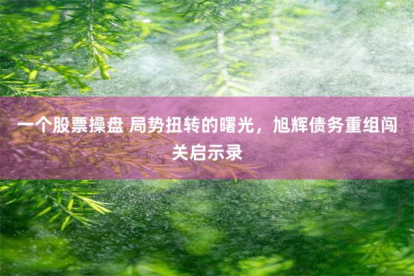 一个股票操盘 局势扭转的曙光，旭辉债务重组闯关启示录