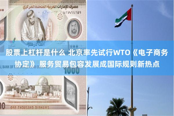 股票上杠杆是什么 北京率先试行WTO《电子商务协定》 服务贸易包容发展成国际规则新热点