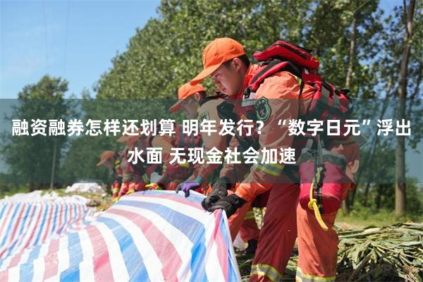 融资融券怎样还划算 明年发行？“数字日元”浮出水面 无现金社会加速