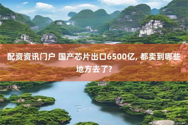 配资资讯门户 国产芯片出口6500亿, 都卖到哪些地方去了?
